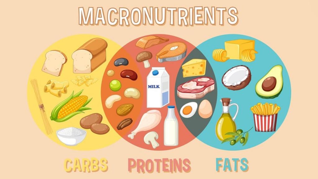 Mastering Macronutrients: Expert Shares A Guide to Balancing Your Diet for  Optimal Health | OnlyMyHealth